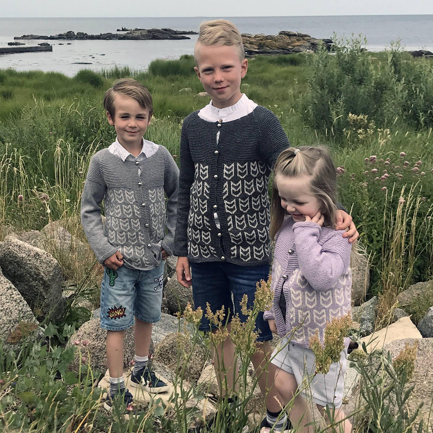 Atlantic Puffin Cardigan knit pattern