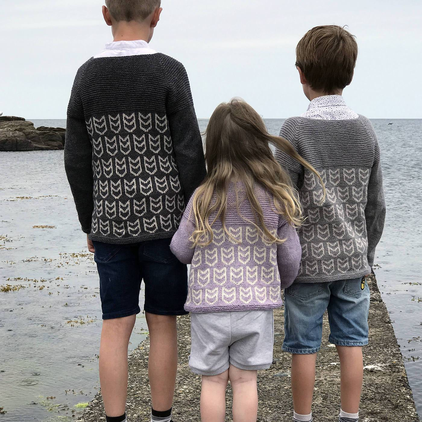 Atlantic Puffin Cardigan knit pattern