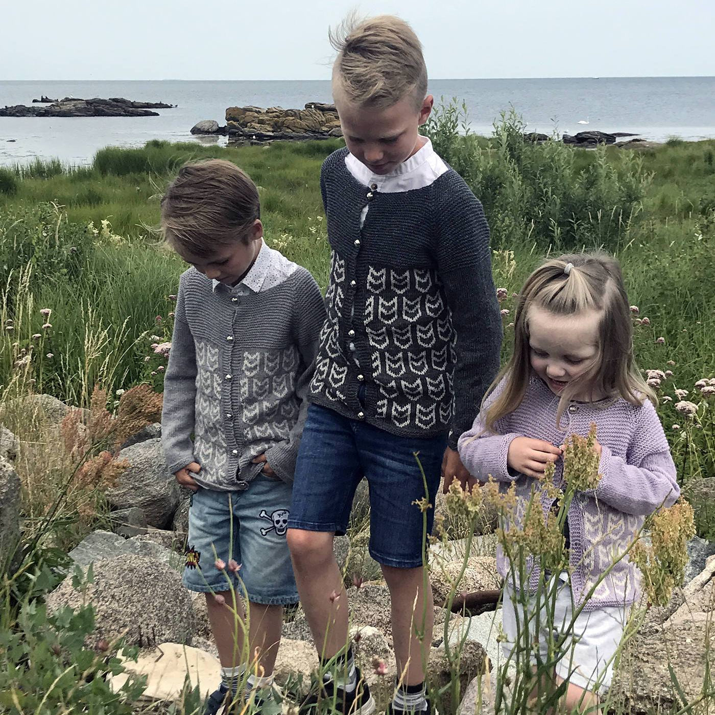 Atlantic Puffin Cardigan knit pattern