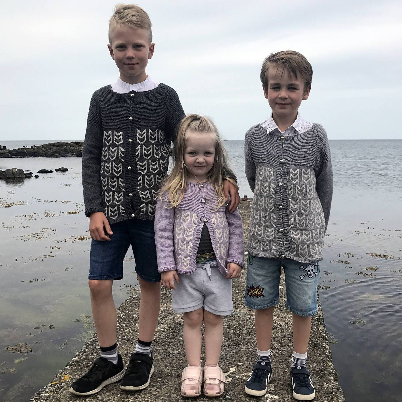 Atlantic Puffin Cardigan knit pattern