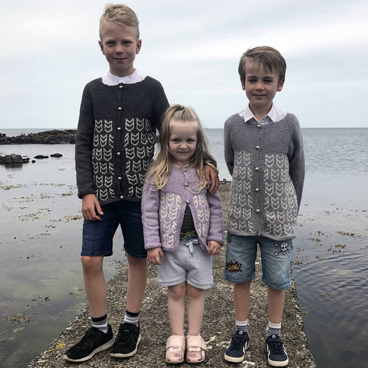 Atlantic Puffin Cardigan knit pattern
