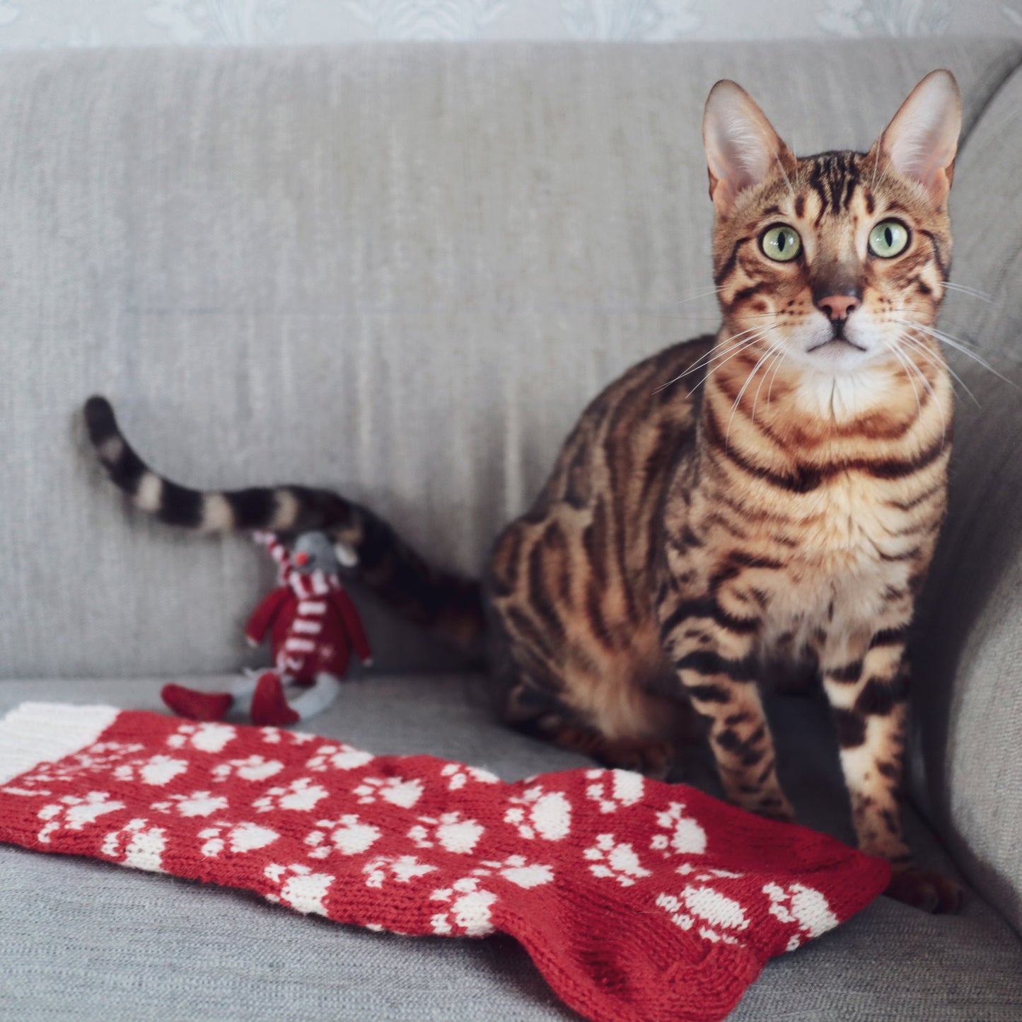 Paws Christmas Stocking pattern for pets
